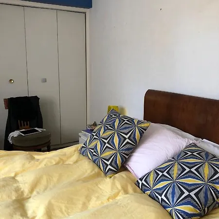 Les Cycas * Montpellier