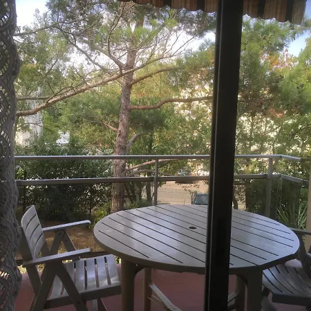 Les Cycas Montpellier